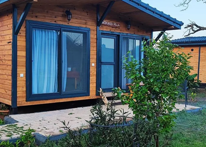 Chirali Eco * 凯梅尔